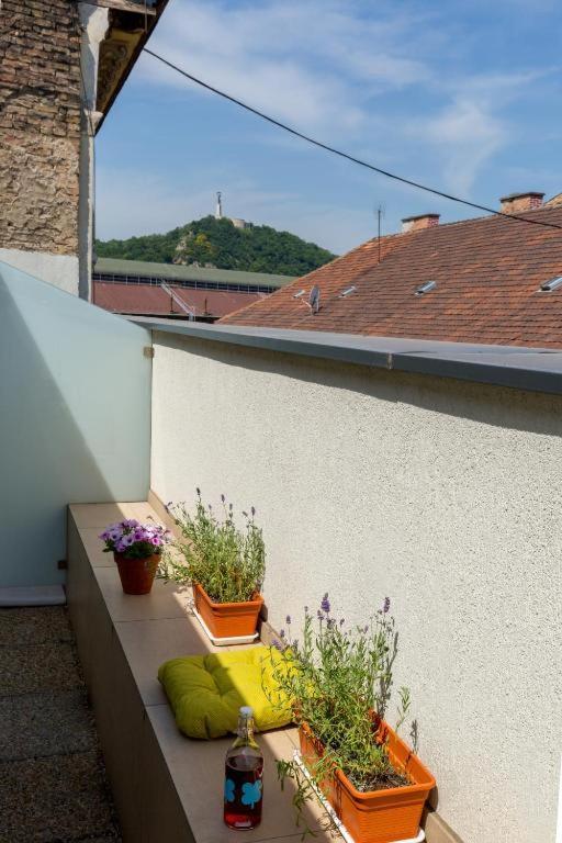 Erkel Rooftop Suites 布达佩斯 外观 照片